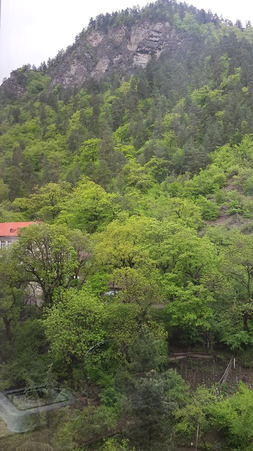 Mariko Hotel Borjomi Exterior foto